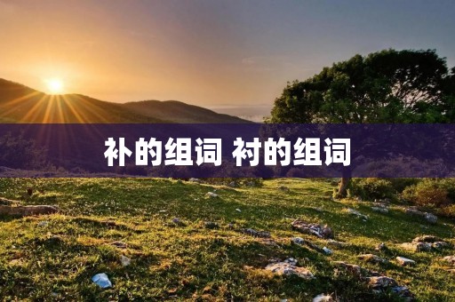 补的组词 衬的组词 补的组词 衬的组词