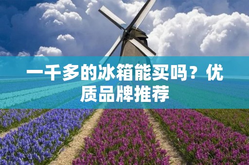 一千多的冰箱能买吗?优质品牌推荐 一千多的冰箱能买吗?优质品牌推荐