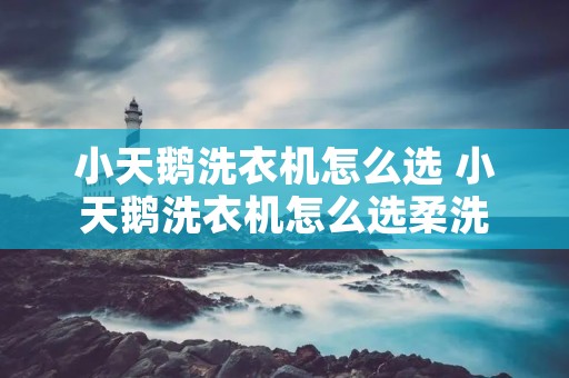 小天鹅洗衣机怎么选 小天鹅洗衣机怎么选柔洗 小天鹅洗衣机怎么选 小天鹅洗衣机怎么选柔洗