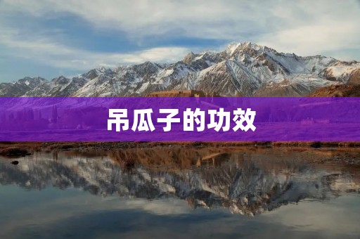 吊瓜子的功效:护肝养肝、降血压、促进消化 吊瓜子的功效:护肝养肝、降血压、促进消化