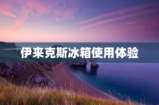 伊来克斯冰箱使用体验:品质优良,性价比超高 伊来克斯冰箱使用体验:品质优良,性价比超高