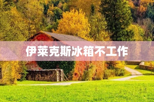伊莱克斯冰箱不工作:如何自行排除故障? 伊莱克斯冰箱不工作:如何自行排除故障?
