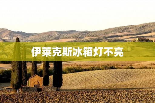伊莱克斯冰箱灯不亮:如何解决? 伊莱克斯冰箱灯不亮:如何解决?