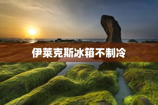 伊莱克斯冰箱不制冷:常见问题及解决方法 伊莱克斯冰箱不制冷:常见问题及解决方法