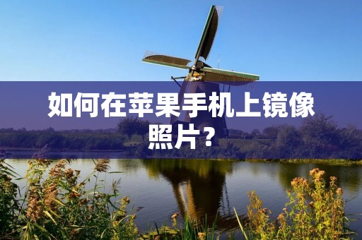 如何在苹果手机上镜像照片?