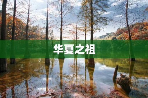 华夏之祖：中华文明的源头