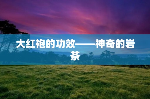 大红袍的功效——神奇的岩茶