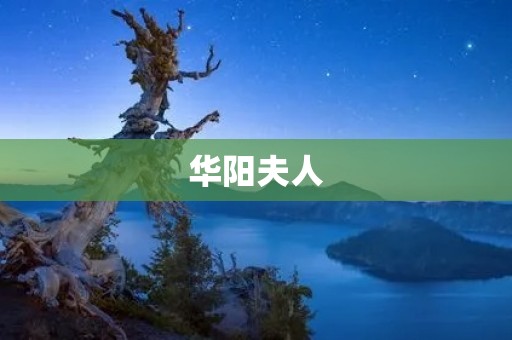 华阳夫人：一位传奇女性的故事