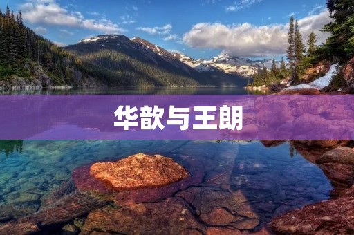 华歆与王朗:一场政治斗争的背后 华歆与王朗:一场政治斗争的背后