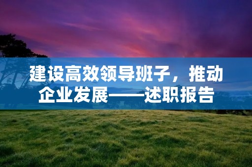 建设高效领导班子,推动企业发展——述职报告