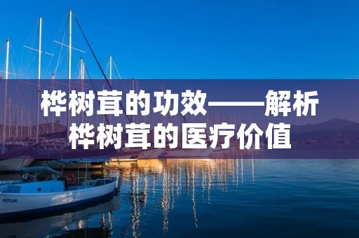 桦树茸的功效——解析桦树茸的医疗价值 桦树茸的功效——解析桦树茸的医疗价值