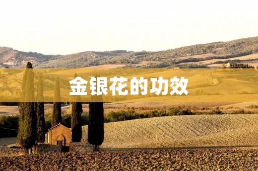 金银花的功效:从草本植物到现代药物 金银花的功效:从草本植物到现代药物