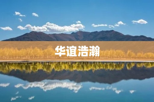 华谊浩瀚：中国电影产业的领军企业