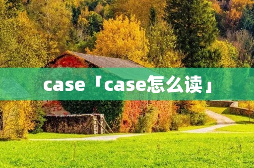 case「case怎么读」