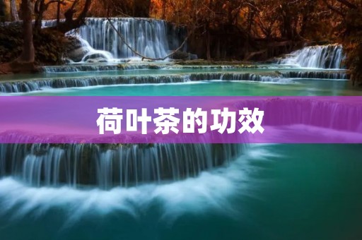 荷叶茶的功效：清热解毒，降脂减肥，美容养颜