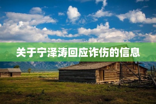 关于宁泽涛回应诈伤的信息