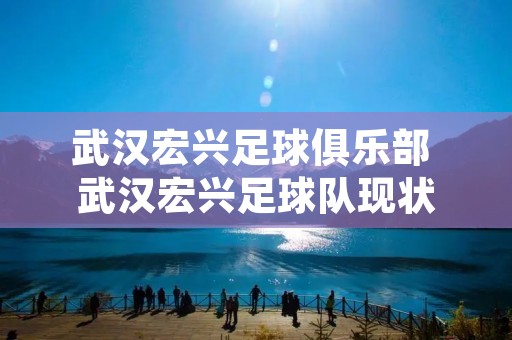 武汉宏兴足球俱乐部 武汉宏兴足球队现状