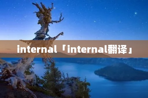 internal「internal翻译」