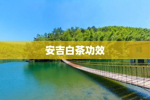 安吉白茶功效:白茶之王的养生之道 安吉白茶功效:白茶之王的养生之道