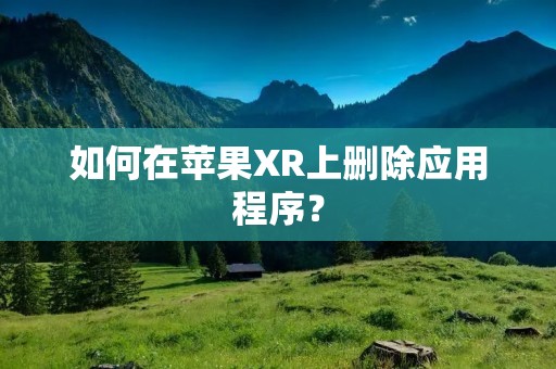 如何在苹果XR上删除应用程序?