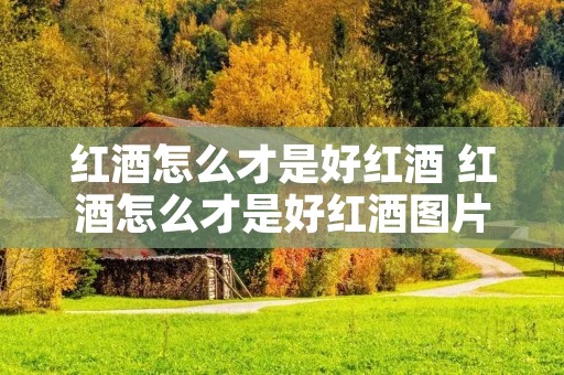 红酒怎么才是好红酒 红酒怎么才是好红酒图片 红酒怎么才是好红酒 红酒怎么才是好红酒图片