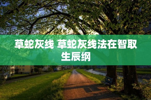 草蛇灰线 草蛇灰线法在智取生辰纲 草蛇灰线 草蛇灰线法在智取生辰纲