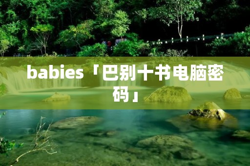 babies「巴别十书电脑密码」