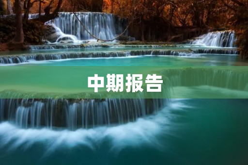 中期报告:基于深度强化学习的自动驾驶技术研究