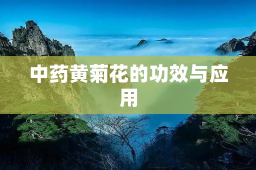 中药黄菊花的功效与应用 中药黄菊花的功效与应用