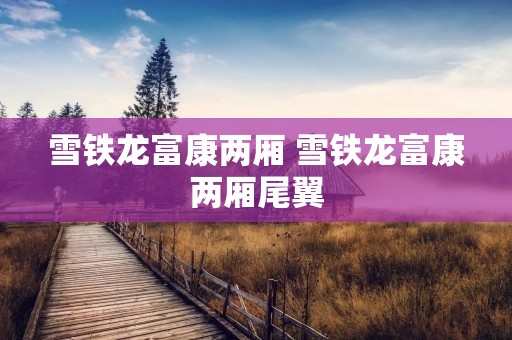 雪铁龙富康两厢 雪铁龙富康两厢尾翼