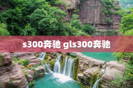 s300奔驰 gls300奔驰