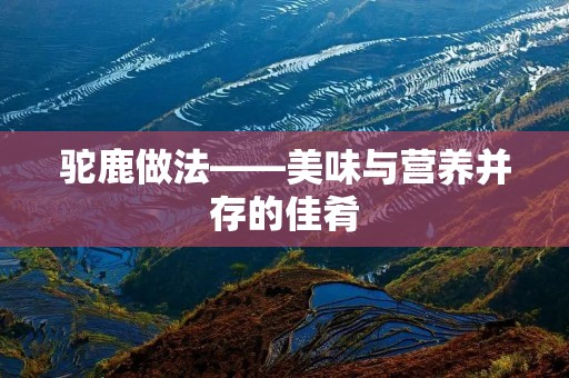 驼鹿做法——美味与营养并存的佳肴 驼鹿做法——美味与营养并存的佳肴