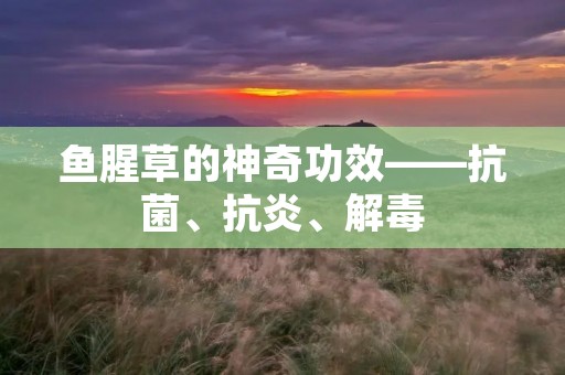 鱼腥草的神奇功效——抗菌、抗炎、解毒 鱼腥草的神奇功效——抗菌、抗炎、解毒