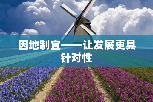 因地制宜——让发展更具针对性