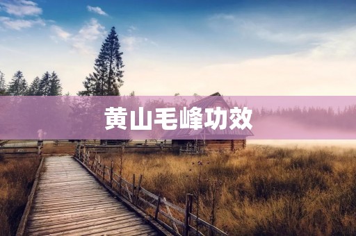 黄山毛峰功效:一款让你喜欢上喝茶的好茶