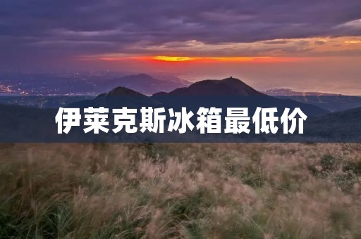 伊莱克斯冰箱最低价:给家庭带来更多的实惠 伊莱克斯冰箱最低价:给家庭带来更多的实惠