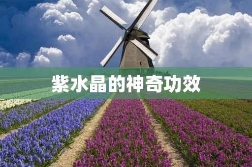 紫水晶的神奇功效:带来平静与智慧 紫水晶的神奇功效:带来平静与智慧