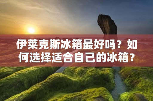 伊莱克斯冰箱最好吗?如何选择适合自己的冰箱? 伊莱克斯冰箱最好吗?如何选择适合自己的冰箱?
