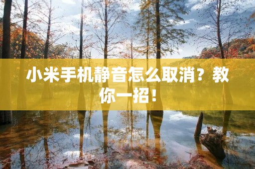 小米手机静音怎么取消？教你一招！