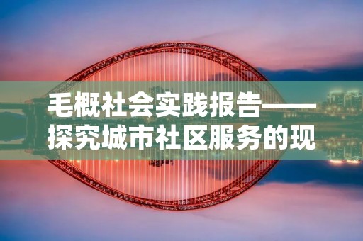 毛概社会实践报告——探究城市社区服务的现状
