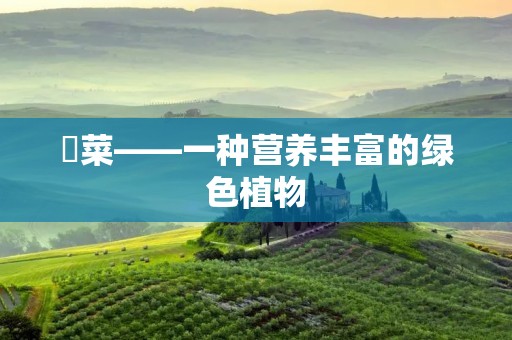 蔊菜——一种营养丰富的绿色植物
