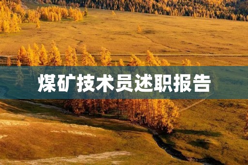 煤矿技术员述职报告