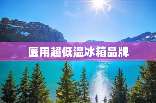 医用超低温冰箱品牌：如何选择最适合的？