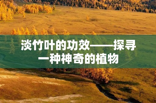 淡竹叶的功效——探寻一种神奇的植物 淡竹叶的功效——探寻一种神奇的植物