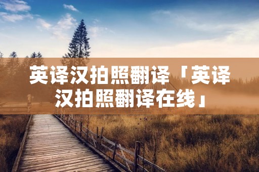 英译汉拍照翻译「英译汉拍照翻译在线」