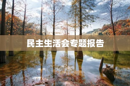 民主生活会专题报告:推进党的建设新的伟大工程
