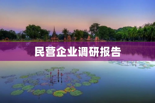 民营企业调研报告:探究发展现状与问题