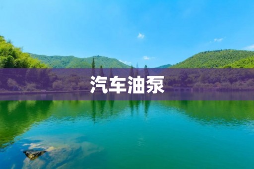 汽车油泵:保障引擎顺畅运行的关键 汽车油泵:保障引擎顺畅运行的关键
