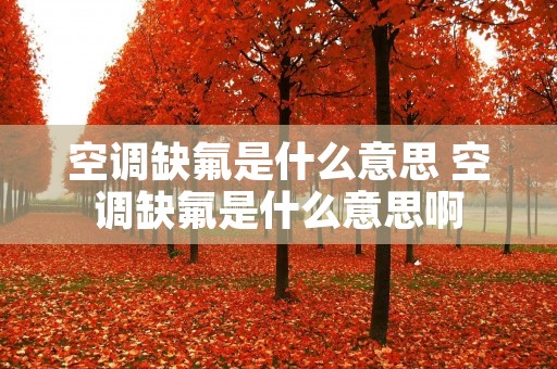 空调缺氟是什么意思 空调缺氟是什么意思啊