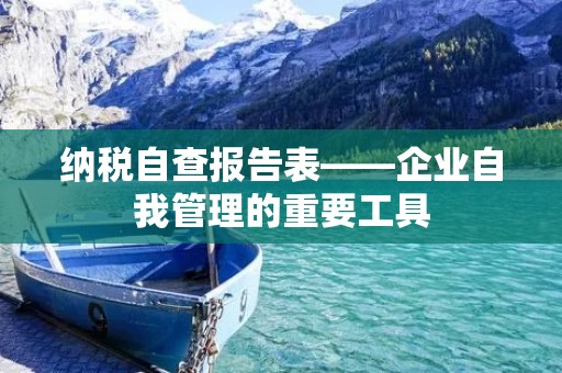 纳税自查报告表——企业自我管理的重要工具